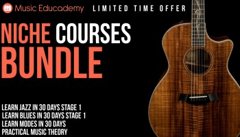 NICHE COURSES BUNDLE (LIMITED TIME ONLY)